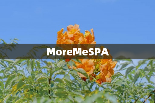 MoreMeSPA