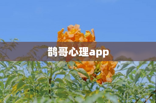 鹊哥心理app