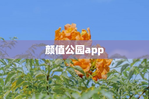 颜值公园app