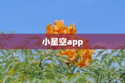 小星空app