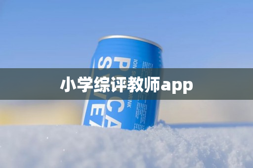 小学综评教师app