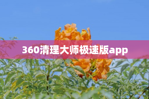 360清理大师极速版app