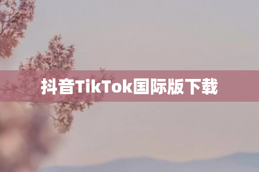 抖音TikTok国际版下载