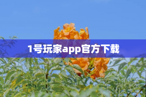 1号玩家app官方下载