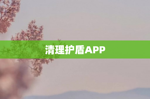 清理护盾APP