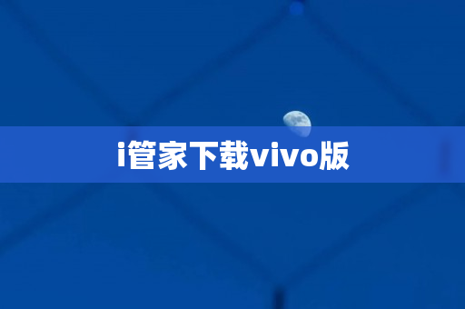 i管家下载vivo版