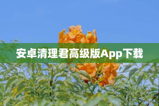 安卓清理君高级版App下载