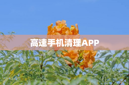 高速手机清理APP