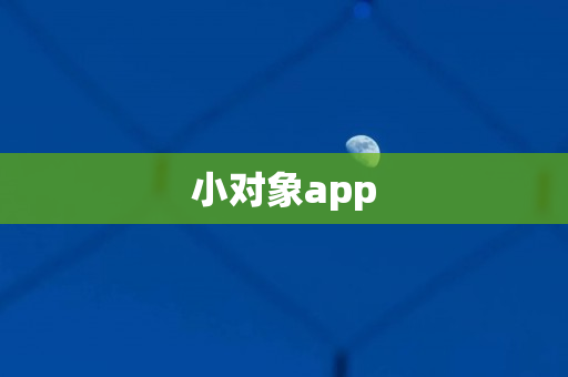 小对象app