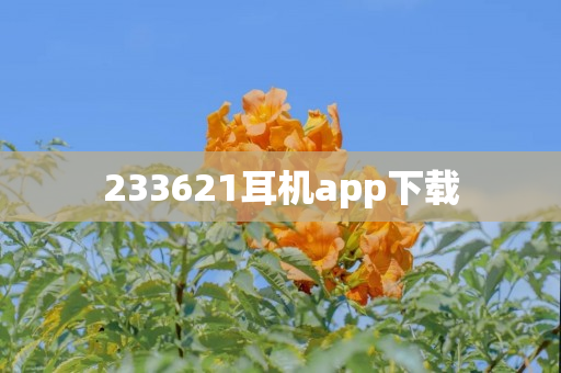 233621耳机app下载