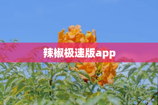 辣椒极速版app