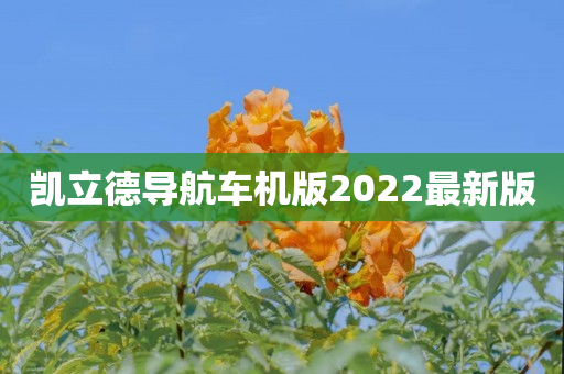 凯立德导航车机版2022最新版