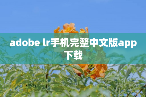 adobe lr手机完整中文版app下载