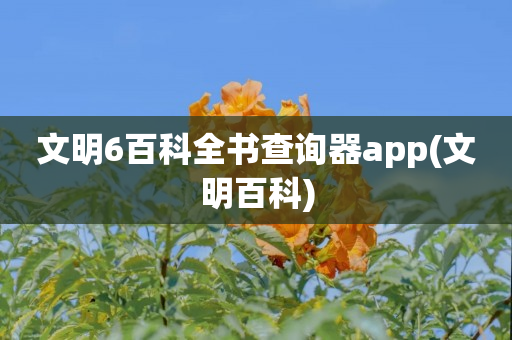 文明6百科全书查询器app(文明百科)