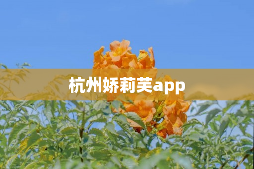 杭州娇莉芙app