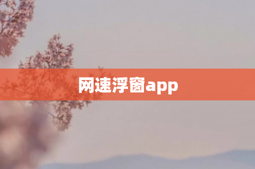 网速浮窗app