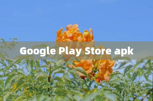 Google Play Store apk