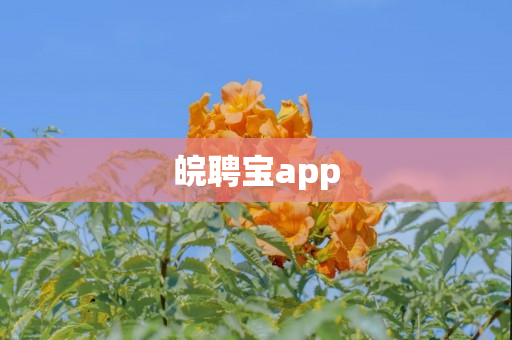 皖聘宝app