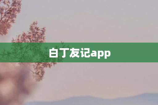 白丁友记app