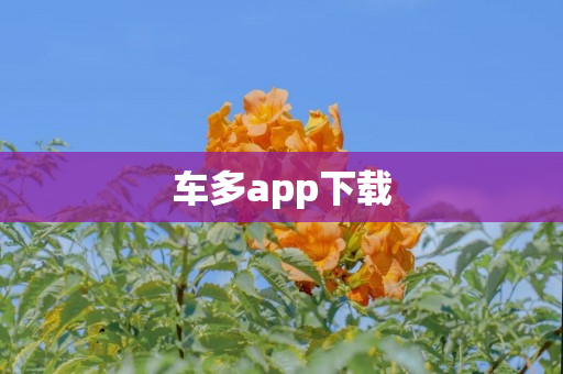 车多app下载