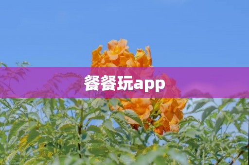 餐餐玩app