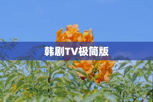 韩剧TV极简版