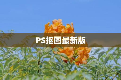 PS抠图最新版