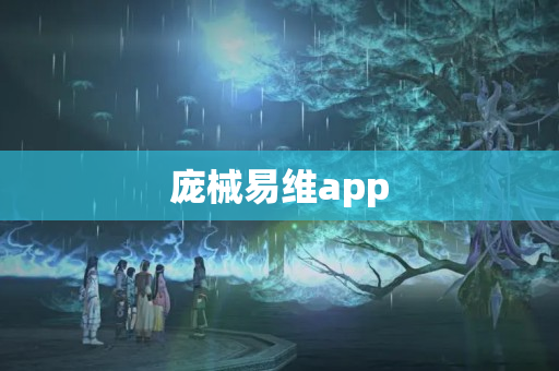 庞械易维app