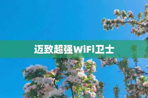 迈致超强WiFi卫士