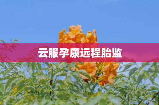 云服孕康远程胎监