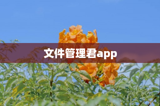 文件管理君app