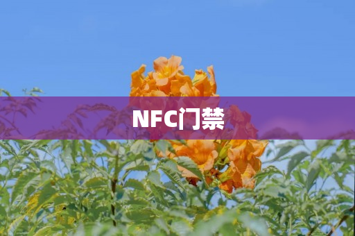 NFC门禁