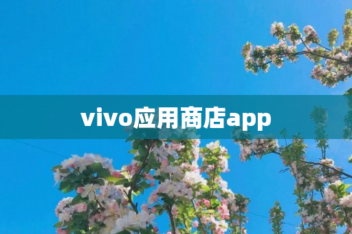 vivo应用商店app