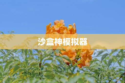 沙盒神模拟器