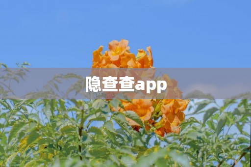 隐查查app