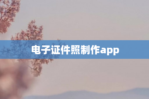 电子证件照制作app