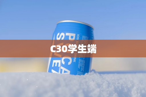 C30学生端