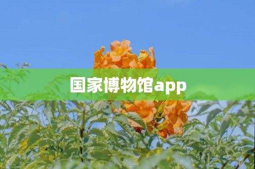 1博物馆app