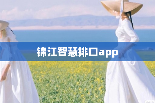 锦江智慧排口app