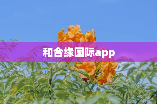 和合缘国际app