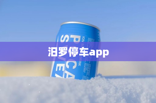 汨罗停车app