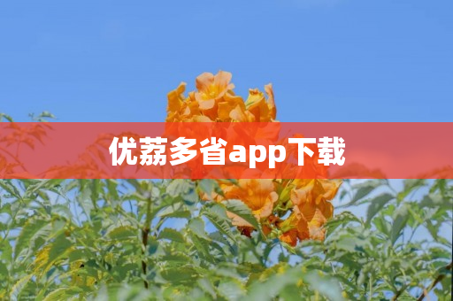 优荔多省app下载