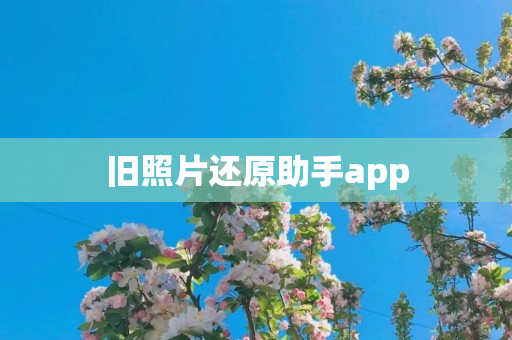 旧照片还原助手app