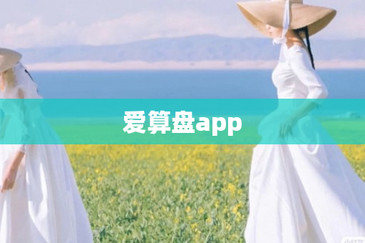 爱算盘app