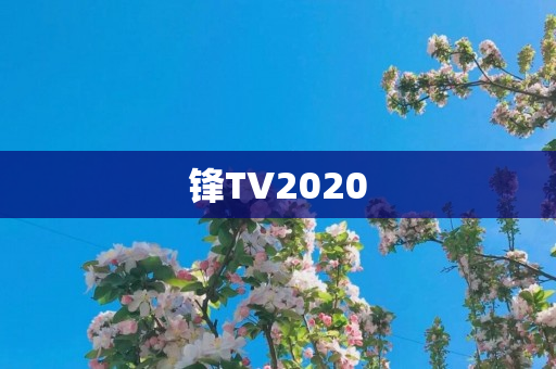 锋TV2020