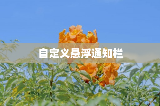 自定义悬浮通知栏