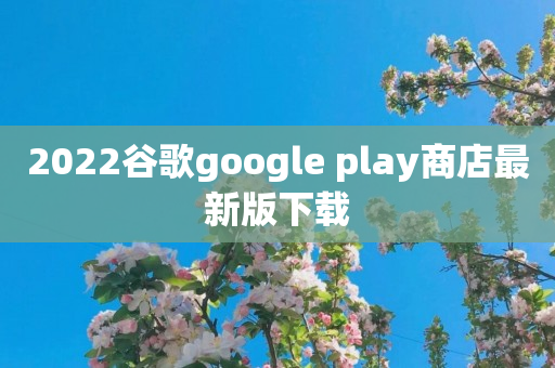 2022谷歌google play商店最新版下载