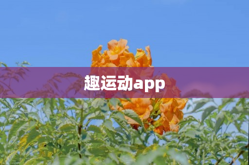 趣运动app