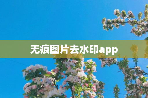 无痕图片去水印app