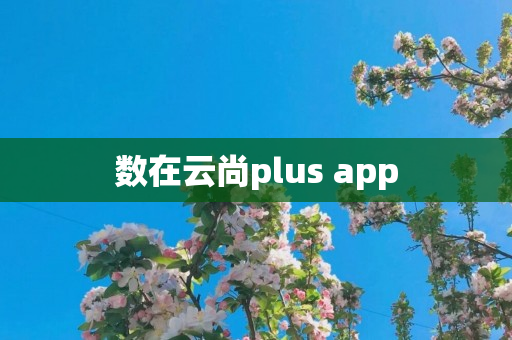 数在云尚plus app